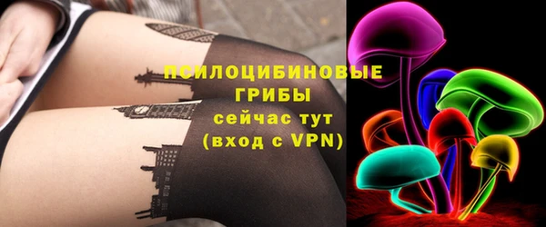 соль ск Абаза